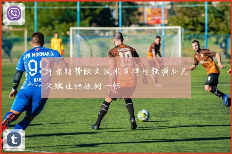 许尔特赞欧文技术多样性强调非凡天赋让他独树一帜
