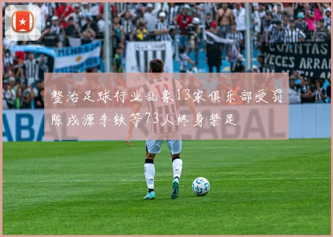 整治足球行业乱象13家俱乐部受罚陈戌源李铁等73人终身禁足