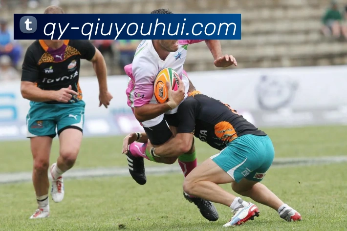 多媒体互动体验