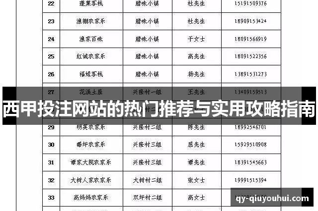 西甲投注网站的热门推荐与实用攻略指南